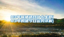 83年属猪适合什么生意(83年的猪今日运势详解)