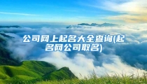 公司网上起名大全查询(起名网公司取名)