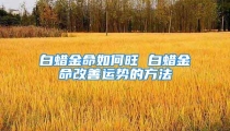 白蜡金命如何旺 白蜡金命改善运势的方法