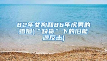 82年女狗和86年虎男的婚姻(“缺货”下的旧能源反击)