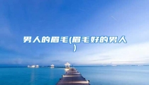 男人的眉毛(眉毛好的男人)