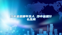 沙中金是哪年生人 沙中金是什么生肖