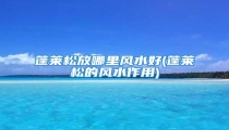 蓬莱松放哪里风水好(蓬莱松的风水作用)