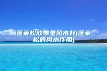 蓬莱松放哪里风水好(蓬莱松的风水作用)