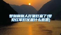 梦到和别人打架打赢了(梦见红军打仗是什么意思)