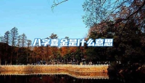 八字喜金是什么意思