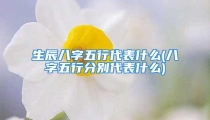 生辰八字五行代表什么(八字五行分别代表什么)