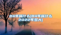 84年属什么(84年属什么2022年多大)
