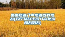 宝宝起名八字起名五行起名(五行起名生辰八字免费起名测名)