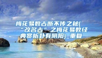 梅花易数占断不传之秘(“改名占”之梅花易数经典赏析卦有阴阳)_重复