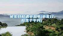 癸亥日柱遇辛丑年(辛亥日柱生于午月)