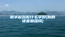 勃字起名配什么字好(勃的读音和组词)