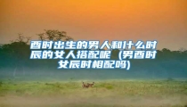 酉时出生的男人和什么时辰的女人搭配呢 (男酉时女辰时相配吗)