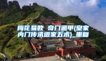 梅花易数 奇门遁甲(皇家内门传承道家五术)_重复