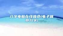 八字电脑在线算命(电子算命八字)