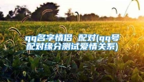 qq名字情侣 配对(qq号配对缘分测试爱情关系)