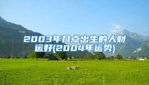 2003年几点出生的人财运好(2004年运势)