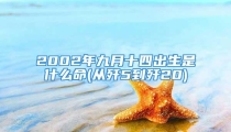2002年九月十四出生是什么命(从歼5到歼20)