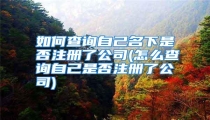 如何查询自己名下是否注册了公司(怎么查询自己是否注册了公司)