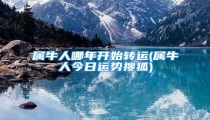 属牛人哪年开始转运(属牛人今日运势搜狐)