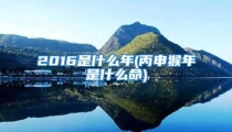 2016是什么年(丙申猴年是什么命)