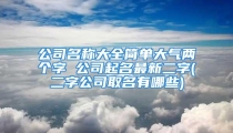 公司名称大全简单大气两个字 公司起名最新二字(二字公司取名有哪些)