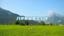 八字有官星怎么样