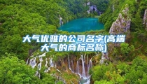 大气优雅的公司名字(高端大气的商标名称)