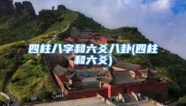 四柱八字和六爻八卦(四柱和六爻)