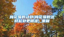 梅花易数动卦(梅花易数这样起卦更精准)_重复