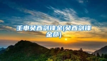 壬申癸酉剑锋金(癸酉剑锋金命)