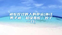 被蛇咬过的人的命运(浙江男子被“超级毒蛇”咬了一口)