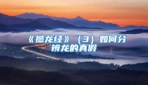 《撼龙经》（3）如何分辨龙的真假