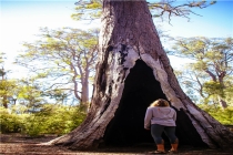 名字藏头诗生成器在线生成(押韵藏头诗生成器)
