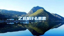 乙丑是什么意思