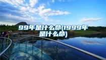 99年是什么命(1999年是什么命)