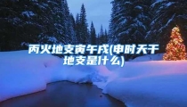 丙火地支寅午戌(申时天干地支是什么)