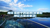 梅花易数中的体用(执象乾坤论五体观象法)