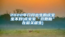 2022年几月出生的虎宝宝不好(虎宝宝“双胞胎”在韶关诞生)