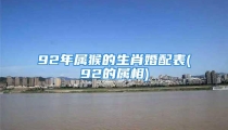 92年属猴的生肖婚配表(92的属相)