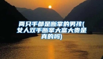 两只手都是断掌的男孩(女人双手断掌大富大贵是真的吗)