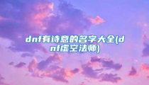 dnf有诗意的名字大全(dnf虚空法师)