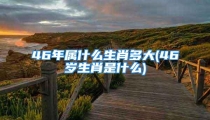 46年属什么生肖多大(46岁生肖是什么)