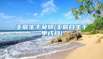 壬辰生于癸卯(壬辰日生于甲戌月)