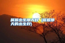 属猴出生那天好 (属猴那天的出生好)