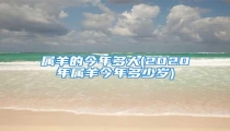 属羊的今年多大(2020年属羊今年多少岁)