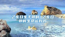乙亥日生于卯时 乙亥日卯时生命运好吗