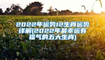 2022年运势12生肖运势详解(2022年最幸运有福气的五大生肖)