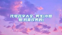 代号名字大全 男生(小姐姐,我喜欢男的)