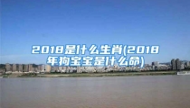 2018是什么生肖(2018年狗宝宝是什么命)
